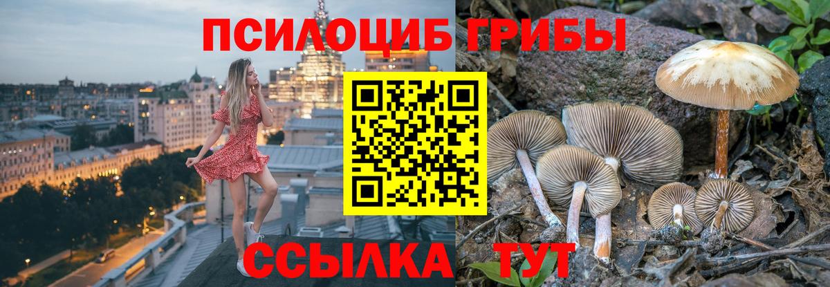 Галлюциногенные грибы Psilocybe  Псилоцибиновые грибы мухоморы  Вход с VPN  наркошоп  Урай 