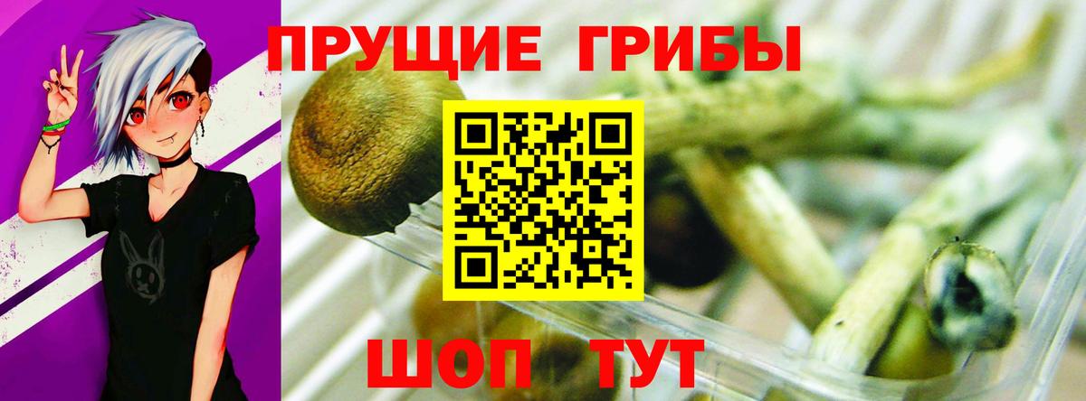 Псилоцибиновые грибы MAGIC MUSHROOMS Урай